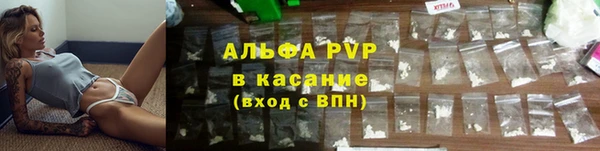 ГАЛЛЮЦИНОГЕННЫЕ ГРИБЫ Ладушкин