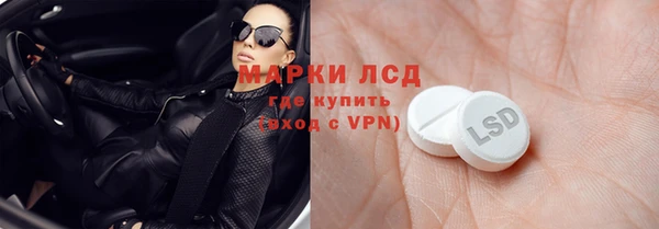 ГАЛЛЮЦИНОГЕННЫЕ ГРИБЫ Ладушкин