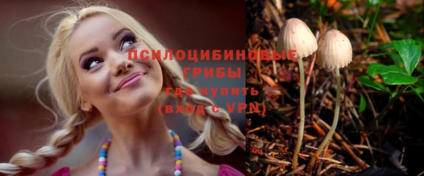 ГАЛЛЮЦИНОГЕННЫЕ ГРИБЫ Ладушкин