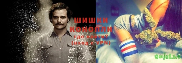 ГАЛЛЮЦИНОГЕННЫЕ ГРИБЫ Ладушкин