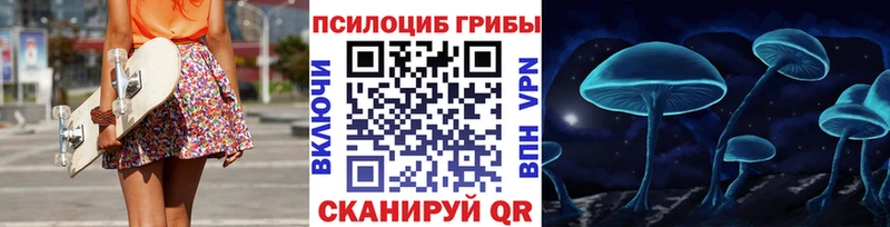 где найти   Шимановск  Галлюциногенные грибы ЛСД 