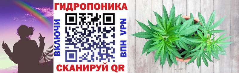 Конопля Bruce Banner  Шимановск 